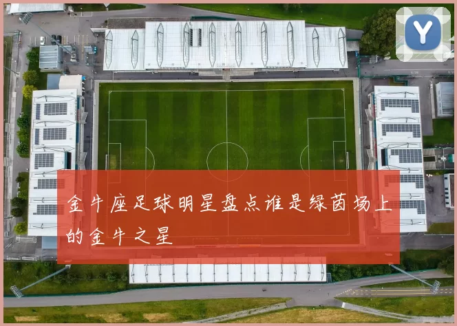 金牛座足球明星盘点谁是绿茵场上的金牛之星