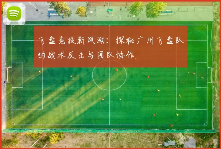 飞盘竞技新风潮：探秘广州飞盘队的战术反击与团队协作