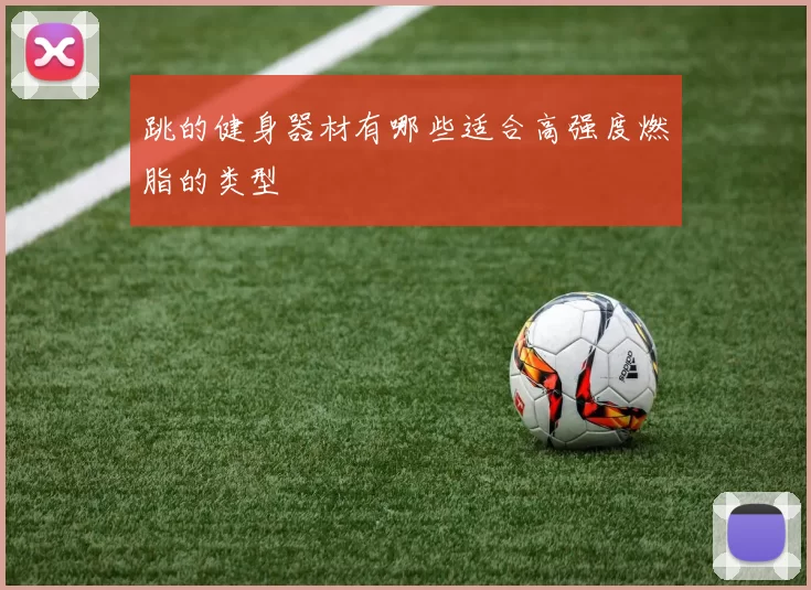 跳的健身器材有哪些适合高强度燃脂的类型