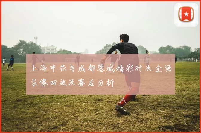 上海申花与成都蓉城精彩对决全场录像回放及赛后分析
