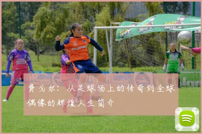 费戈尔：从足球场上的传奇到全球偶像的辉煌人生简介