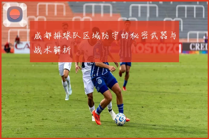成都排球队区域防守的秘密武器与战术解析