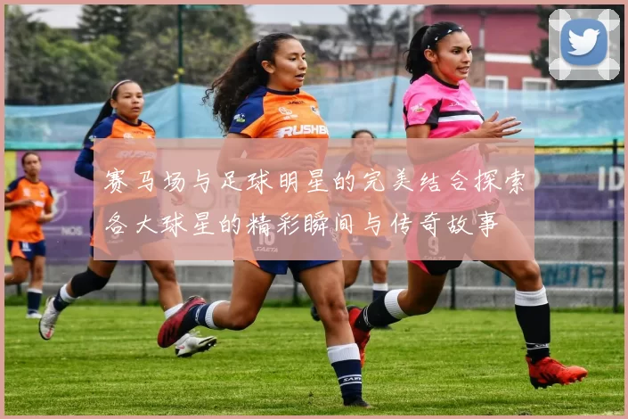 赛马场与足球明星的完美结合探索各大球星的精彩瞬间与传奇故事