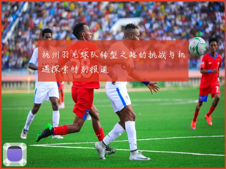 杭州羽毛球队转型之路的挑战与机遇探索特别报道