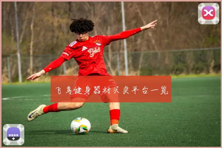 飞鸟健身器材买卖平台一览