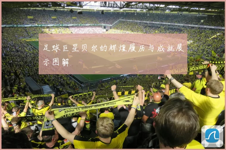 足球巨星贝尔的辉煌履历与成就展示图解