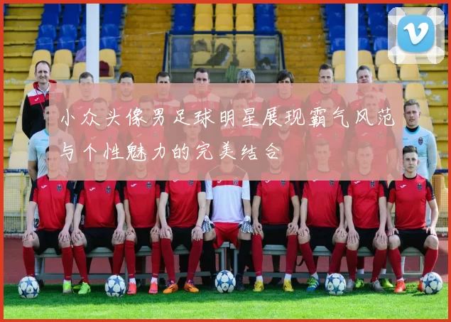 小众头像男足球明星展现霸气风范与个性魅力的完美结合