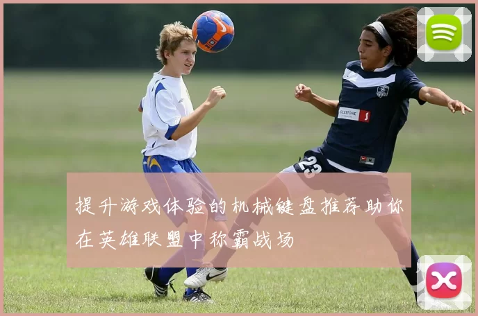 提升游戏体验的机械键盘推荐助你在英雄联盟中称霸战场