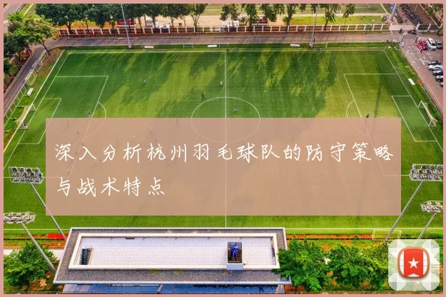 深入分析杭州羽毛球队的防守策略与战术特点