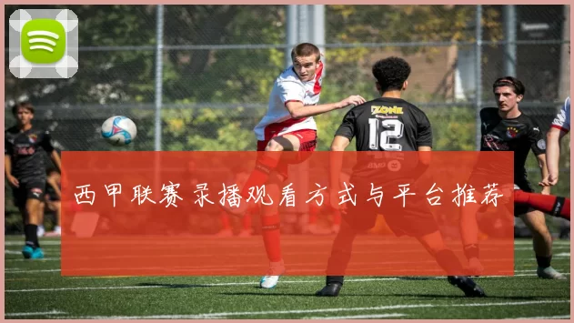 西甲联赛录播观看方式与平台推荐