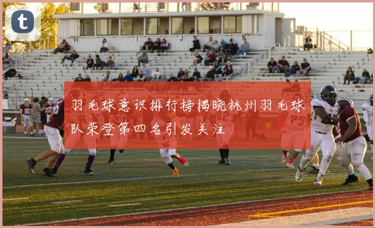 羽毛球意识排行榜揭晓杭州羽毛球队荣登第四名引发关注