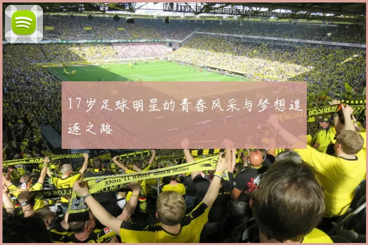 17岁足球明星的青春风采与梦想追逐之路