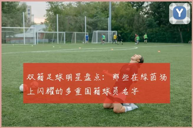 双籍足球明星盘点：那些在绿茵场上闪耀的多重国籍球员名字