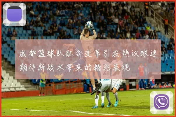 成都篮球队配合变革引发热议球迷期待新战术带来的精彩表现