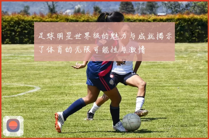 足球明星世界级的魅力与成就揭示了体育的无限可能性与激情