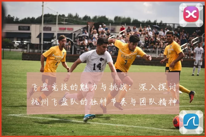 飞盘竞技的魅力与挑战：深入探讨杭州飞盘队的独特节奏与团队精神