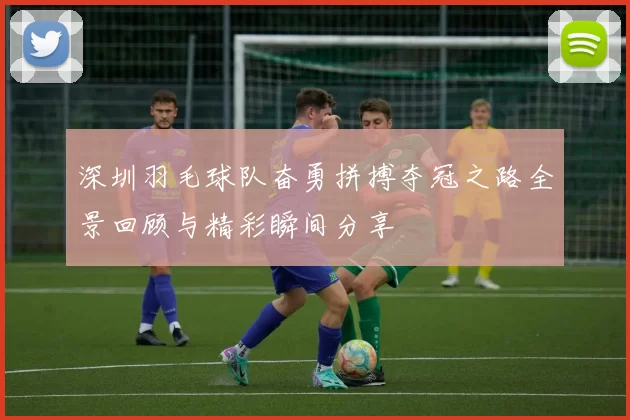 深圳羽毛球队奋勇拼搏夺冠之路全景回顾与精彩瞬间分享
